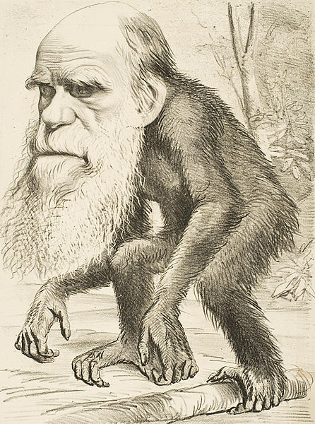 many agreed with Darwinian pygmy scholar Sir Harry Johnston who stated that the pygmies were "very apelike in appearance"
