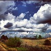 SWEET HOME ALABAMA! #me #moi #home #road #land #pasture #sky #cloud #beautiful #landscape #Alabama #peace