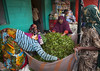 Khat market in Awaday - Ethiopia