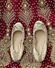 Details of Saree with Wedding Ceremony Shoes