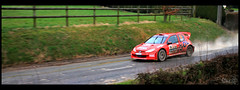 Peugeot 206 WRC / Rally du Touquet  - Steve.© -