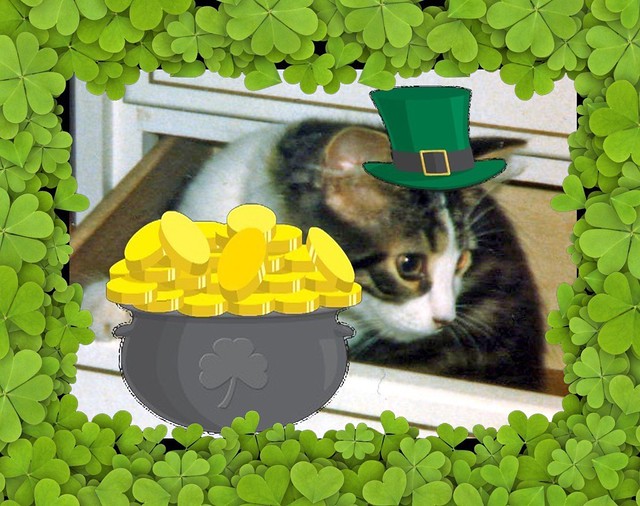 Baby Mitzi Exploring Wearing Leprechaun Hat And With Pot Of Gold SHAMROCK Framed