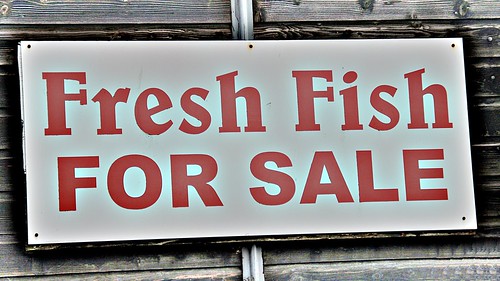 Fresh Fish for sale ©  OliBac