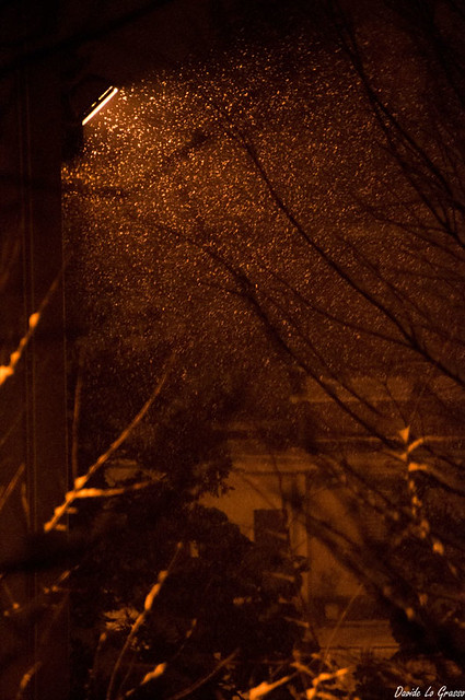 SNOWing moment