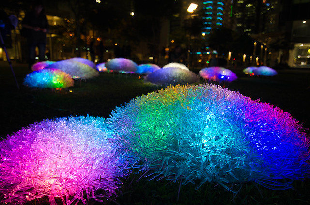 Singapore i Light Marina Bay - Coral Garden