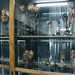 Museo Anatomía