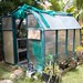 Gil's small green house