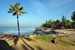 India - Kerala - Varkala - Coastline - 85