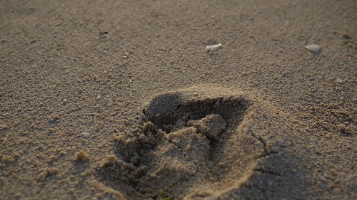 アラハビーチの砂