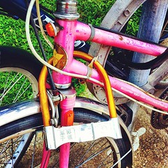 Chinese bike lock