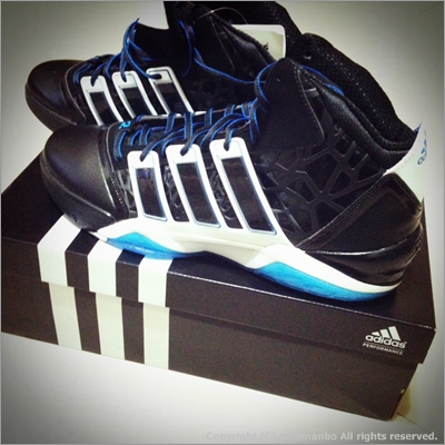 adiPower Howard 2 籃球鞋