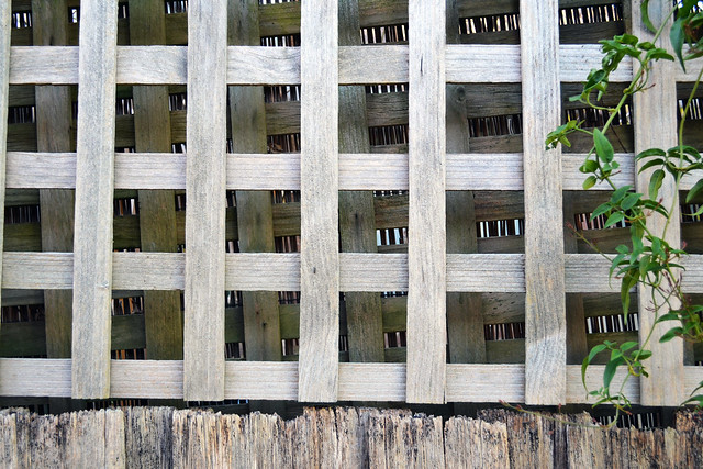 Find a grid pattern somewhere - Fence lattice