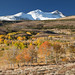 Eastern Sierra Fall Colors 2012