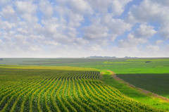 Nebraska landscape 07-25-2012