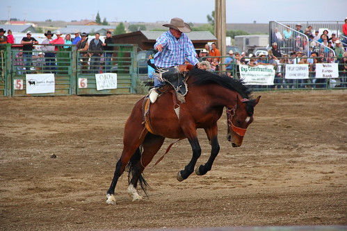 Pinedale Rodeo