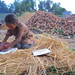 Daughter of brick kiln workers doing her school work outside factory 7