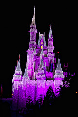 Cinderella's Castle in Purple
