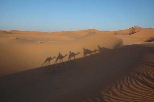 Camel ride at Erg Chebbi   Morocco ©  dxa5on