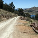Passo per una zona di taglialegna (lago Titicaca)