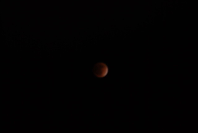 Total Lunar Eclipse from Tokyo - 4