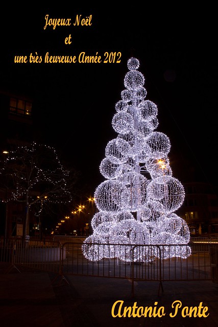 Belgique - Bruxelles - Woluwe-St-Lambert - Noël 2011