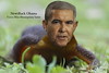 NewtRack Obama, the Progressive Newtron Bomb expanding Big Government for RINO Conservatives to Believe In.
