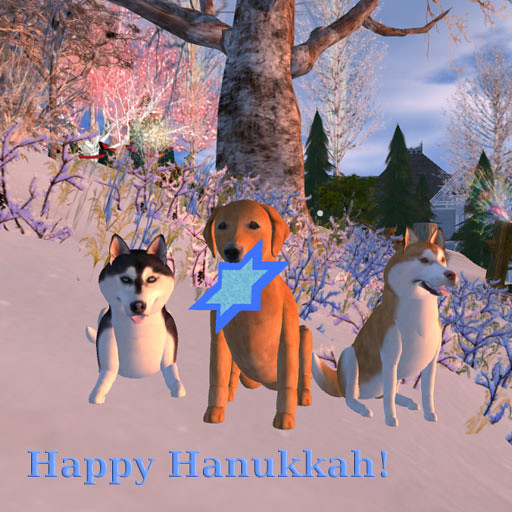 Happy Hannukah from the VKC Dogs!