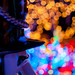 Maisie's Magical Christmas House - Lights display