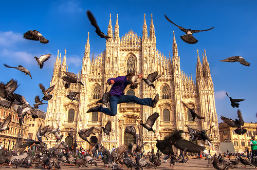 Dove Fighting at the Duomo di Milano