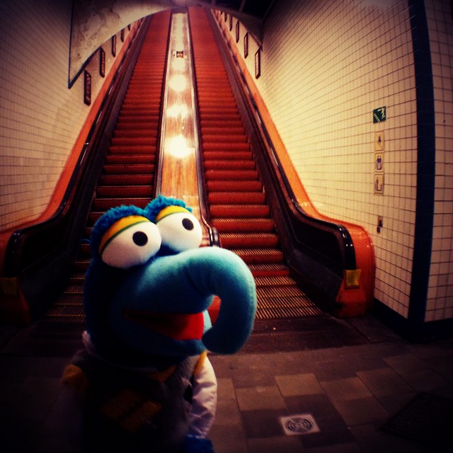 Gonzo rants about the stairs