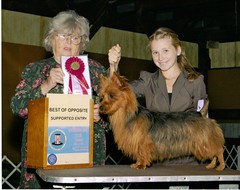 Ch. Gabby and Ellie BOS 2011 Specialty