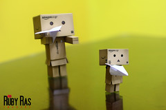 Day 16 (Ruby Ras) Tags: canon days jamaica day16 danbo 366 60d danboard 3662012