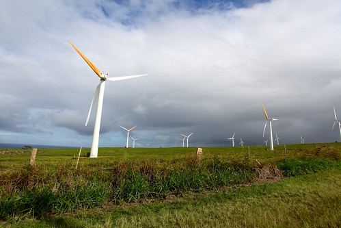 Wind Farm at Upolu
