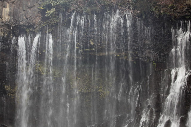 Waterfall / 白糸の滝（しらいとのたき）