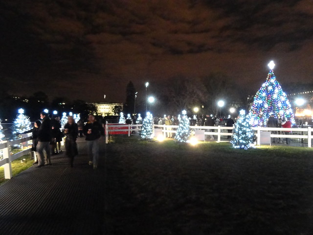 National Christmas Tree, State Trees and White House