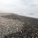 A sud di Camaná raggiungo la spiaggia sbagliata (piena di sassi)
