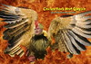 Chicken-Hawk Newt Gingrich