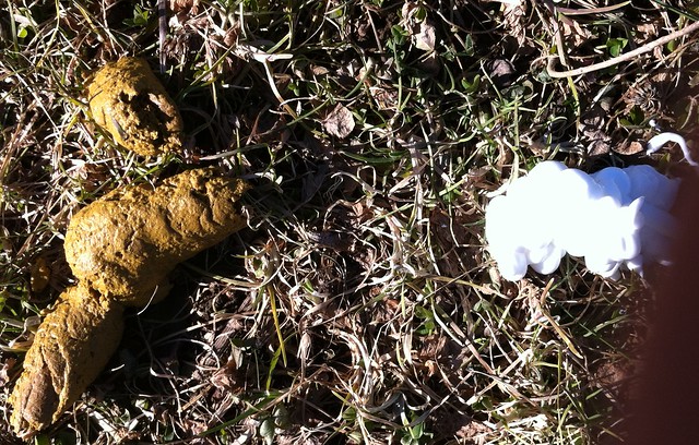 two ingredients for frothy santorum lube and fecal matter pic 2