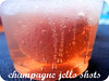 champagne JELLO SHOTS