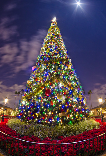 Epcot’s Christmas Tree by Tom.Bricker, on Flickr