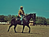 HDR WAR HORSE rider