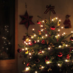 O Christmas Tree  ♪ ♫ ♪ ♫ ♪