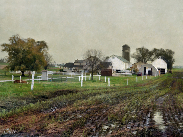 Amish Farmland