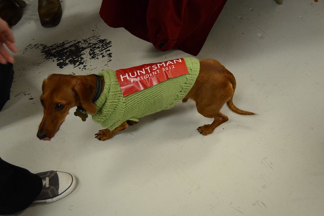 Huntsman campaign puppy - NEW HAMPSHIRE PRIMARY