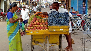 India - Tamil Nadu - Madurai - Streetlife - 77