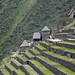 I terrazzamenti di Machu Picchu