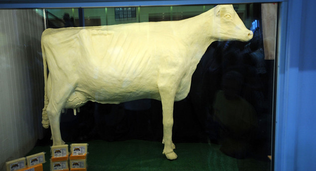 600-Pound Butter Cow Sculpture Wins Iowa Caucus