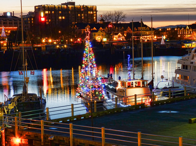 Christmas in the harbor