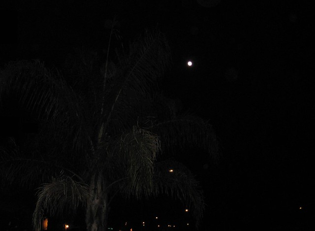 Full Moon of December 2011, Pre-Lunar Eclipse! (12-9-11) Photo #2