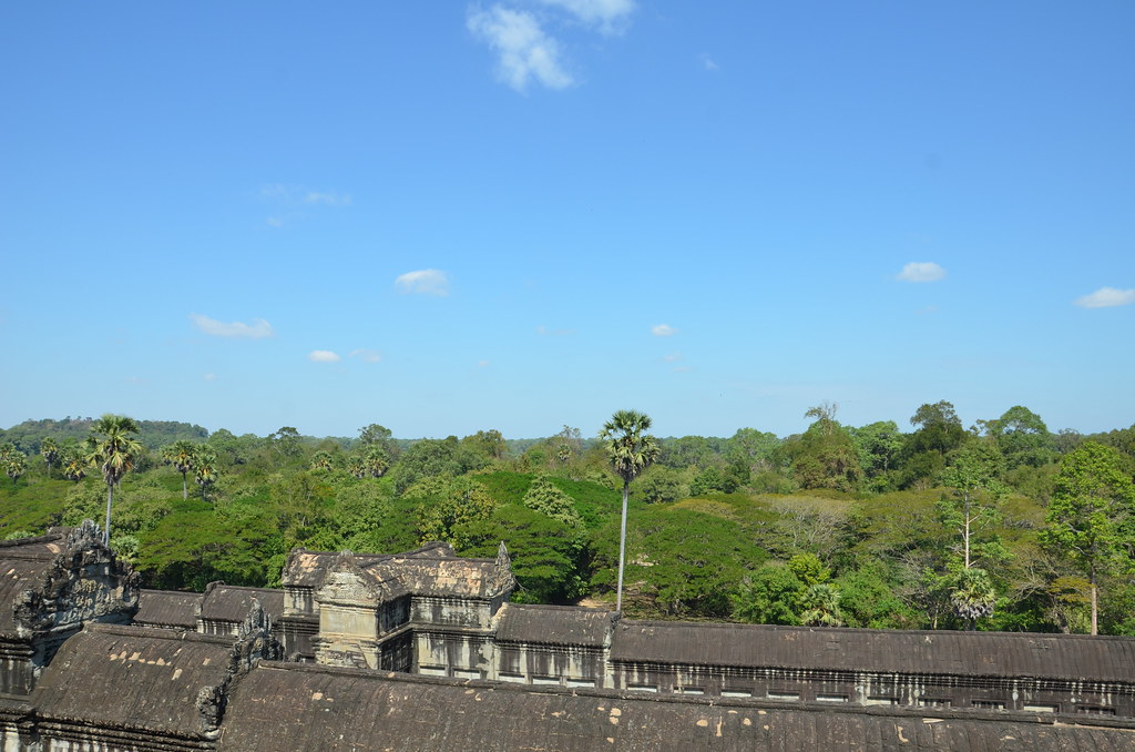 : View from the highest level of Angkor Wat